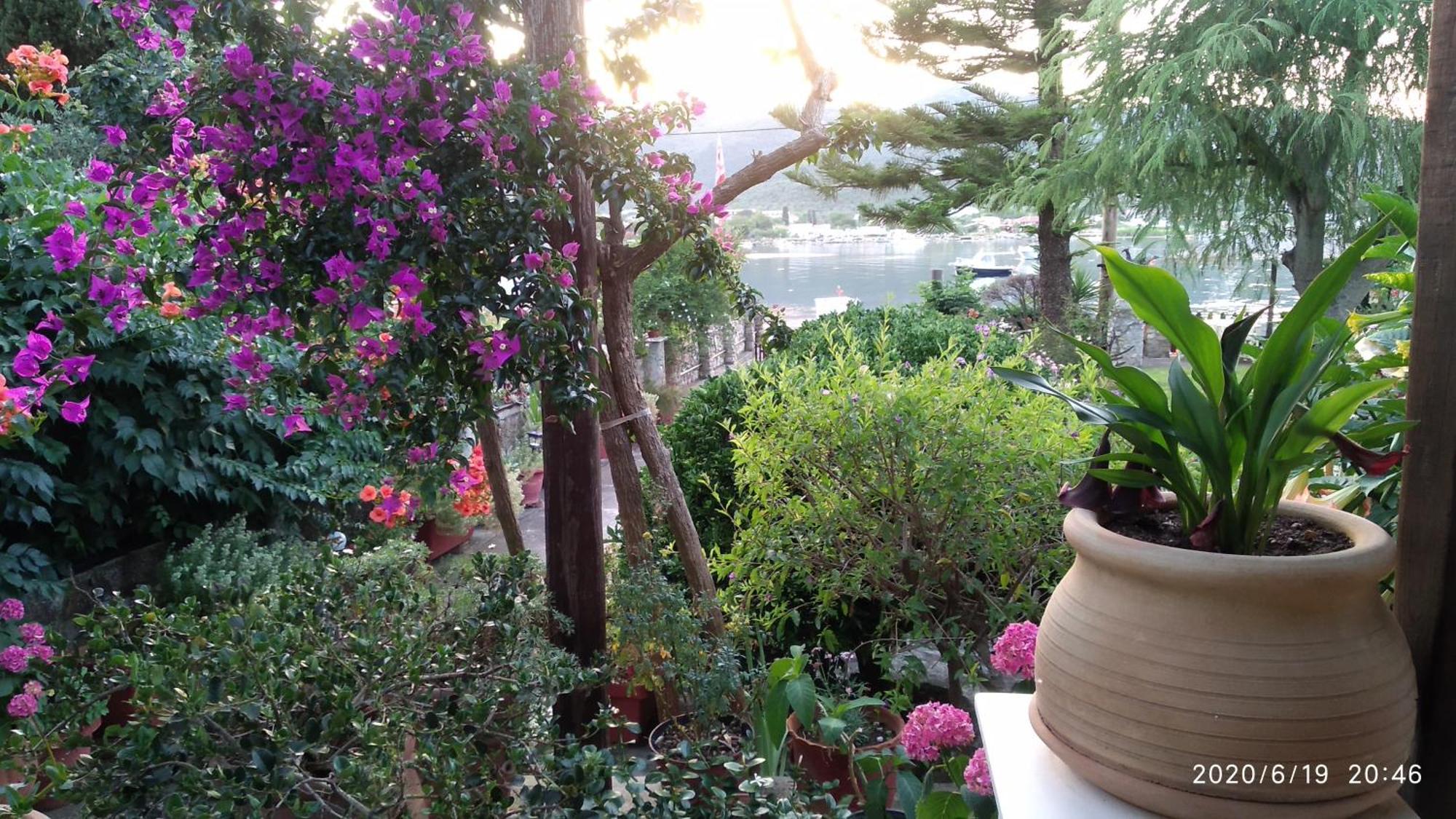 Skiathos Riviera Studios Punta Exterior photo