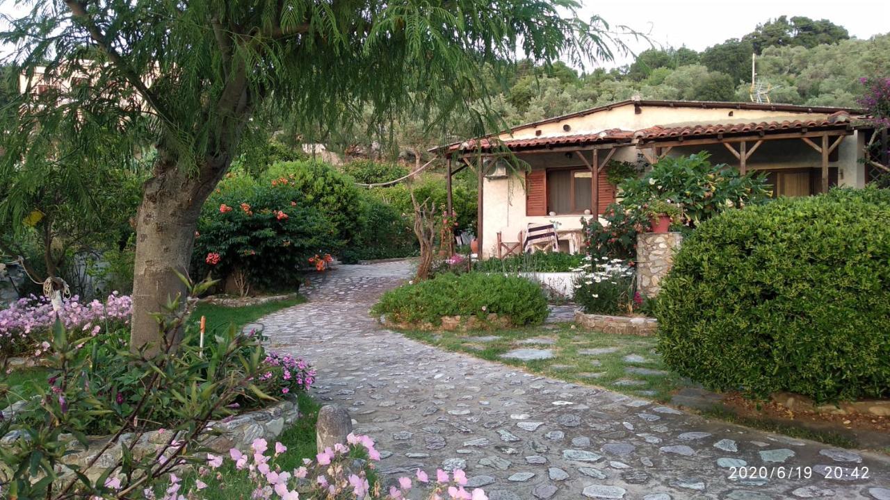 Skiathos Riviera Studios Punta Exterior photo